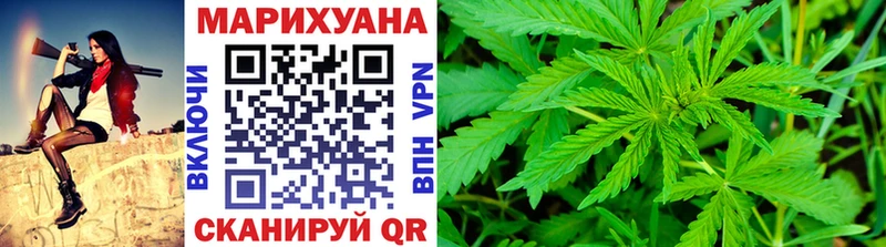 купить наркоту  Богучар  Шишки марихуана ГИДРОПОН 